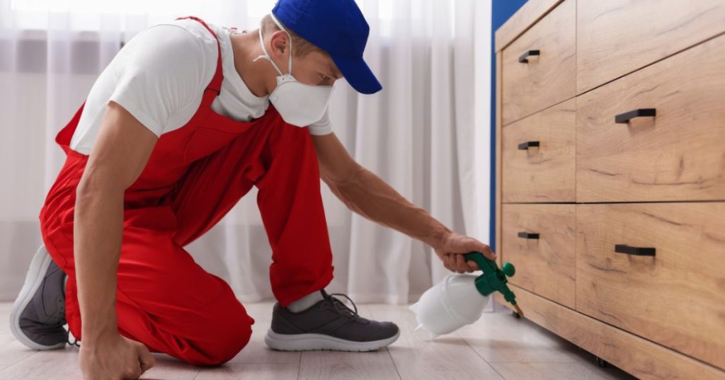 Como Eliminar Mosquitos em Salvador: 5 Técnicas capa dedetizacao em Salvador