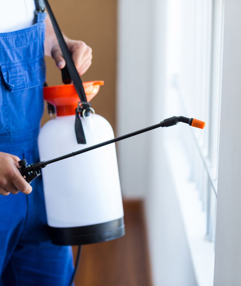 dedetizador em Salvador